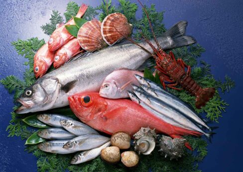 ristorante di pesce a Belluno - Bella Napoli
